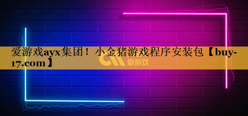 小金猪游戏程序安装包